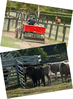 Pasture Management