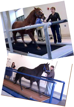 Treadmills